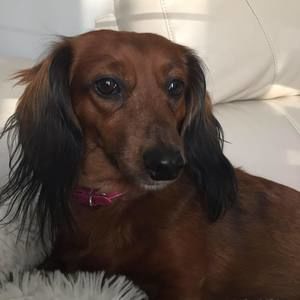 Meet your Posher, Ruthie